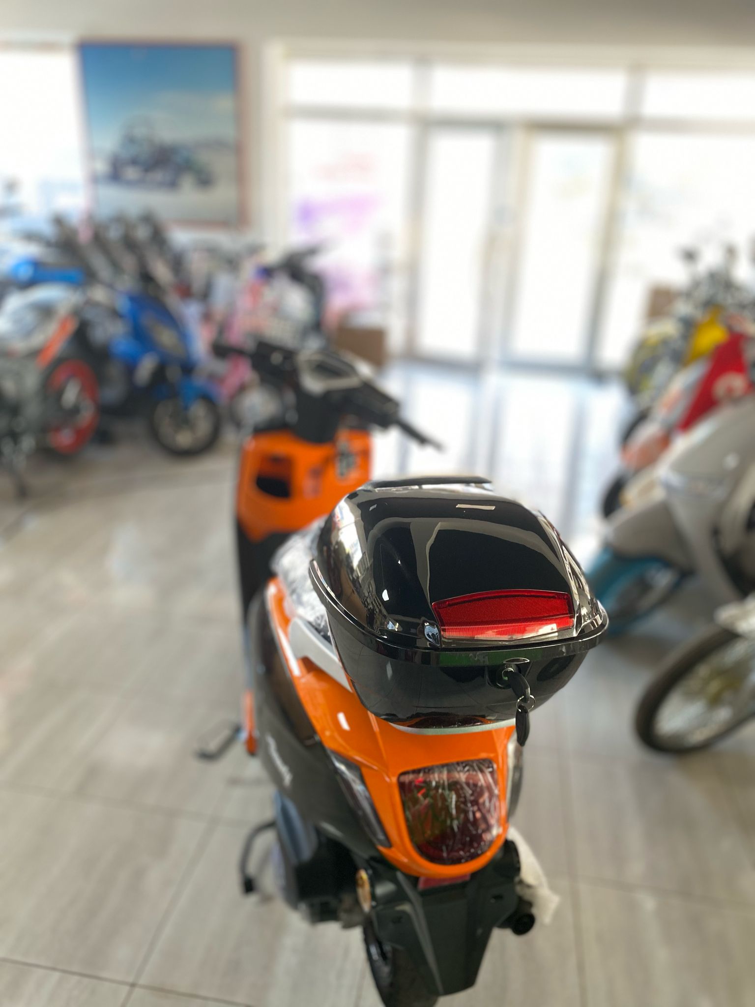 WhatsApp Image 2025-04-11 at 18.11.28 (1)